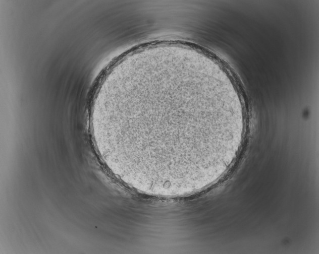 X0000115280973200912111222