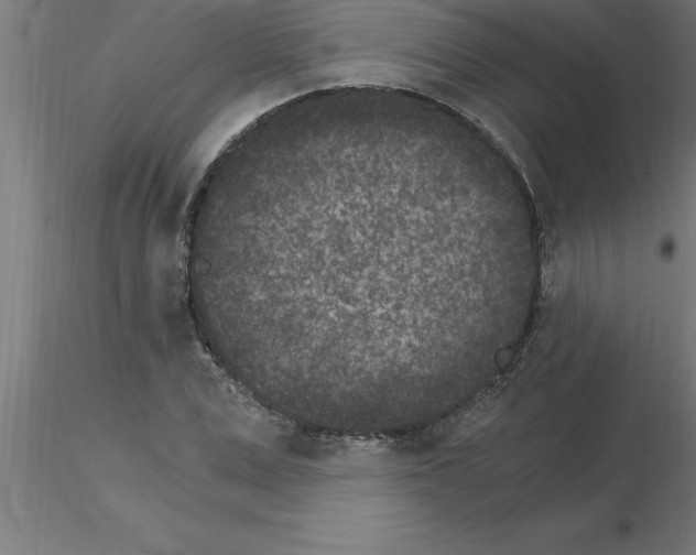 X0000115280975200912111222