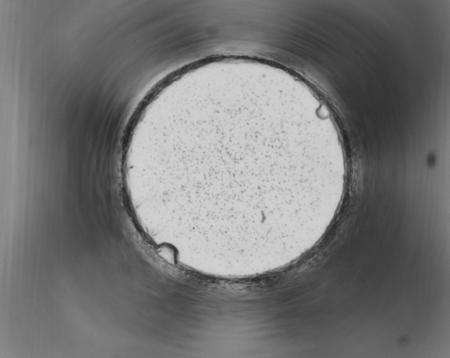 X0000115280976200912111222