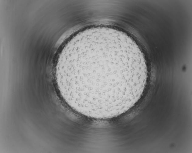 X0000115280978200912111222