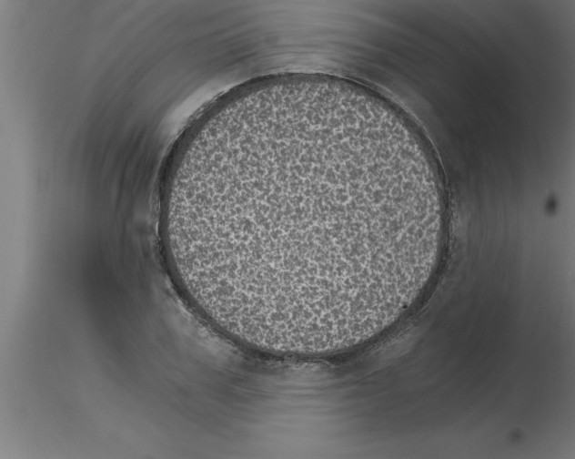 X0000115280979200912111222