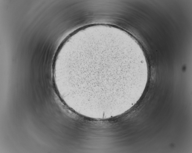 X0000115280980200912111222