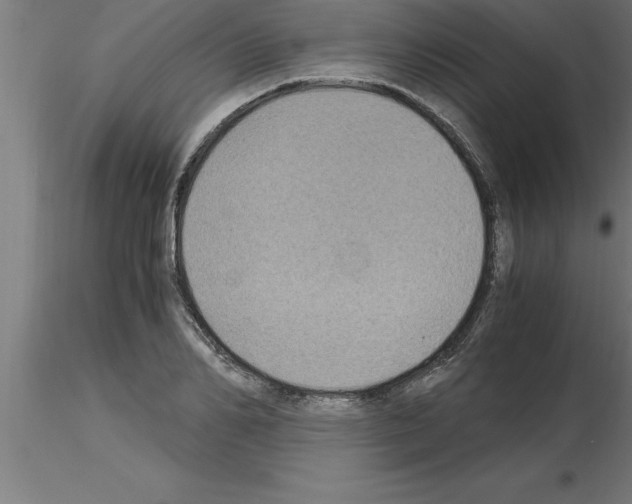 X0000115280982200912111222