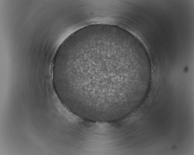 X0000115280983200912111222