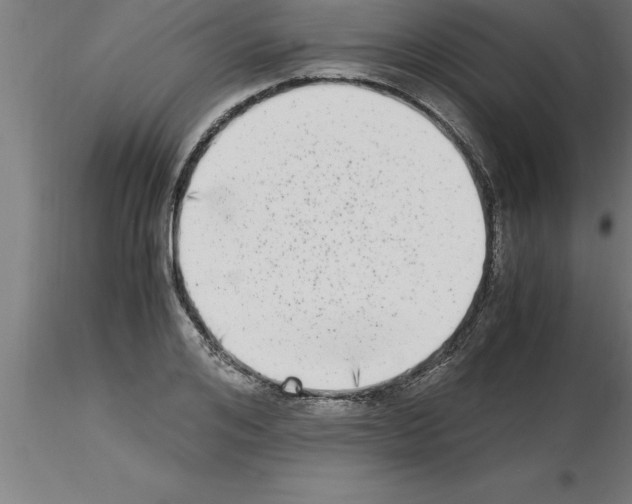 X0000115280984200912111222