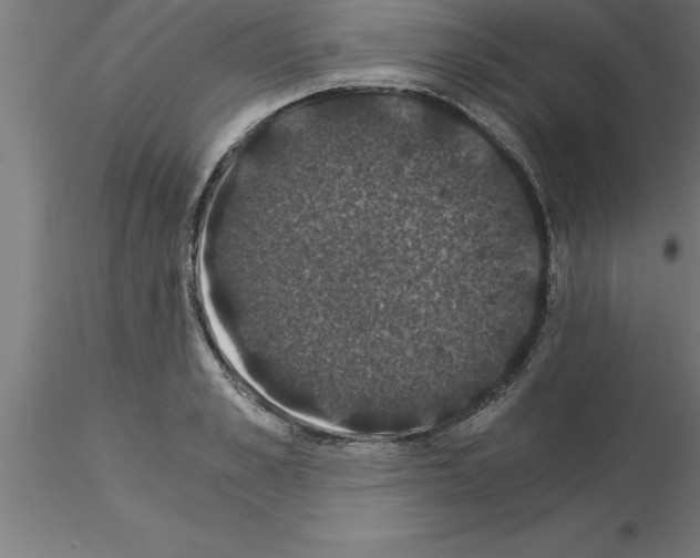 X0000115280989200912111222