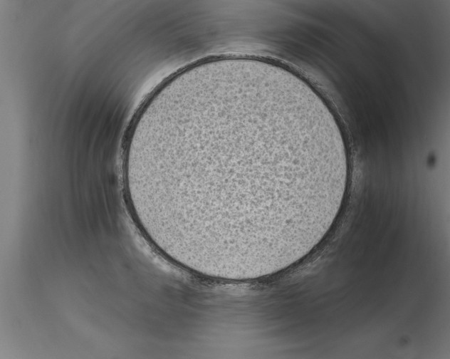 X0000115280990200912111222