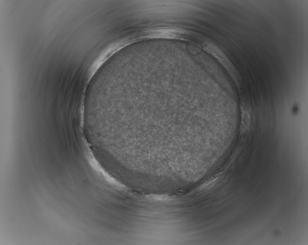 X0000115280994200912111222