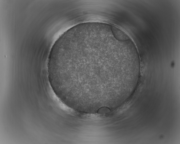 X0000115280995200912111222