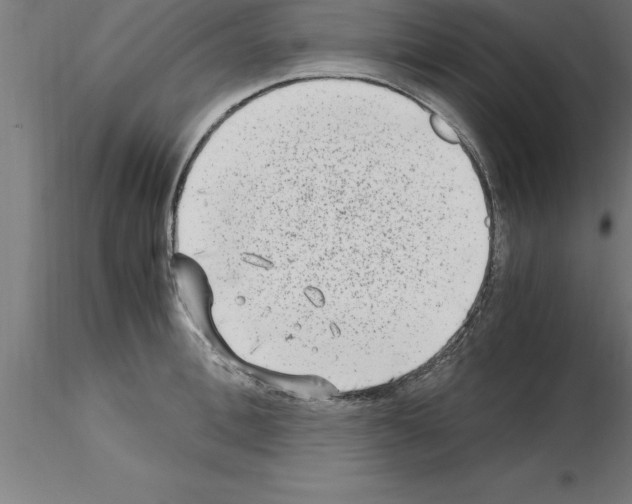 X0000115280996200912111222