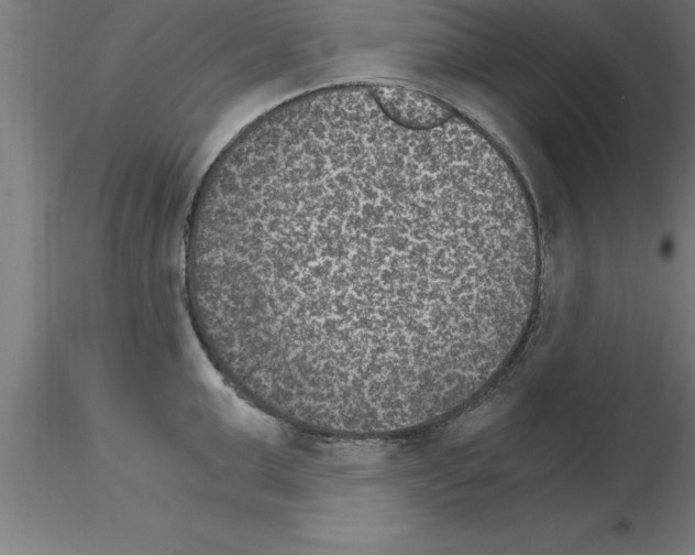 X0000115280999200912111222