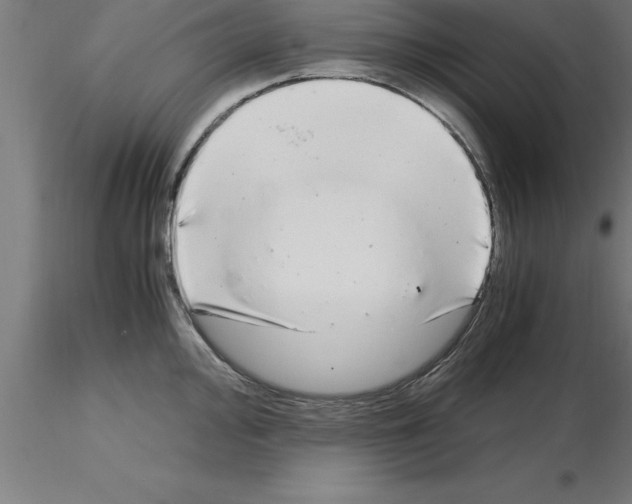 X0000115281000200912111222