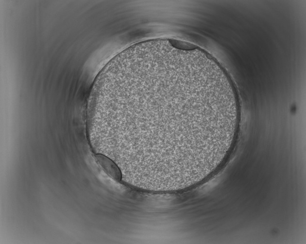 X0000115281001200912111222