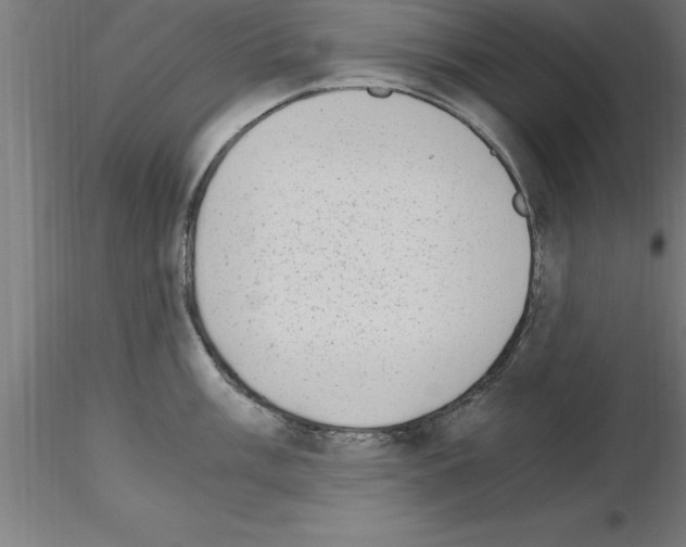 X0000115281003200912111222