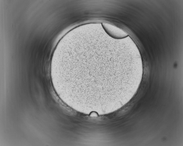 X0000115281004200912111222