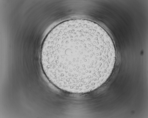 X0000115281005200912111222