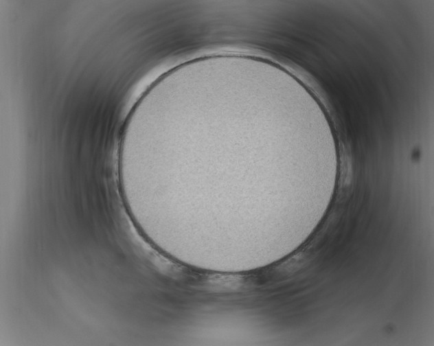 X0000115281006200912111222