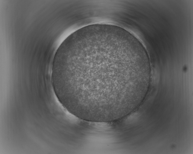 X0000115281007200912111222