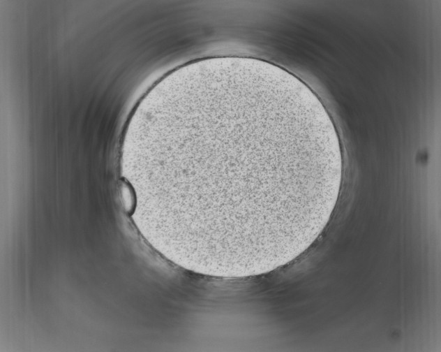 X0000115281008200912111222