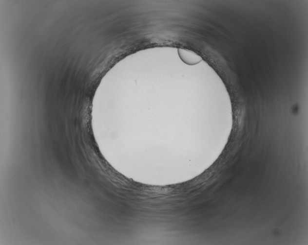 X0000115281012200912111221