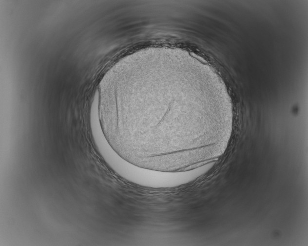 X0000115281013200912111221