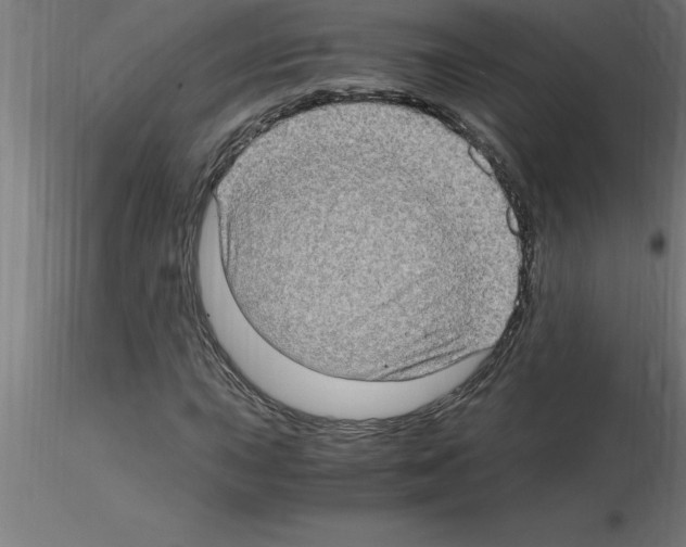 X0000115281015200912111221