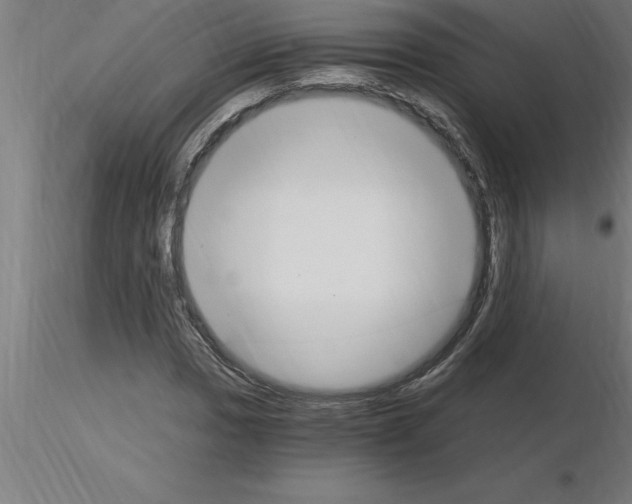 X0000115281017200912111221