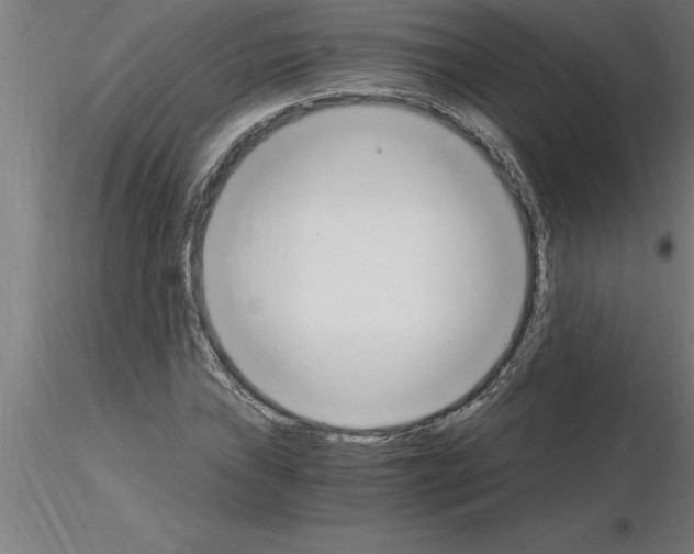 X0000115281019200912111221