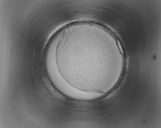 X0000115281021200912111221