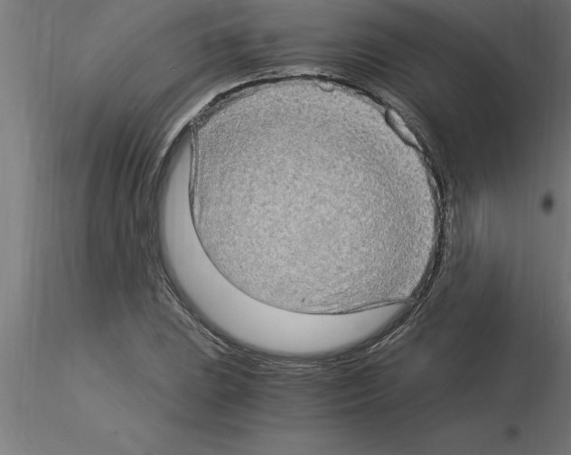 X0000115281023200912111221