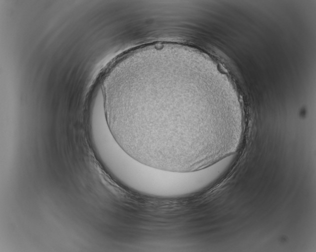 X0000115281027200912111222