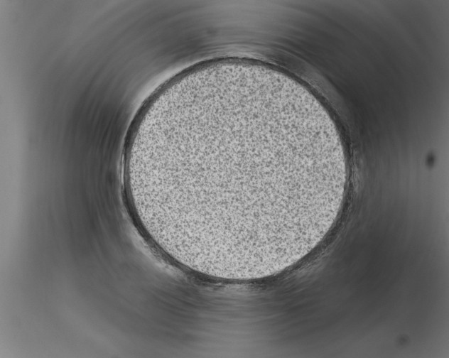 X0000115281028200912111222