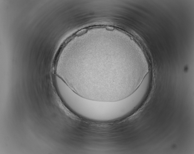 X0000115281029200912111222