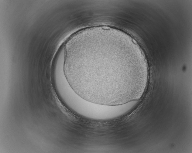 X0000115281031200912111222