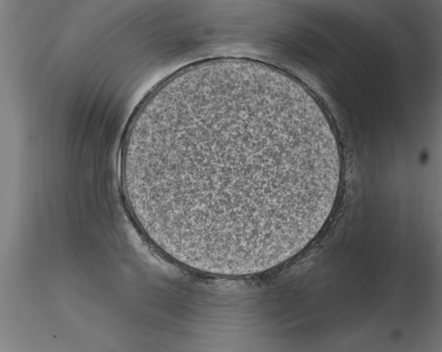 X0000115281032200912111222