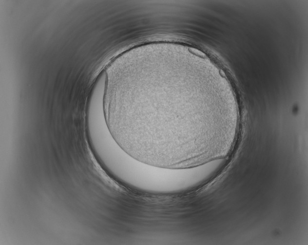 X0000115281033200912111222