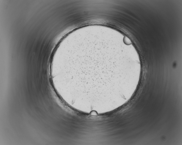 X0000115281034200912111222