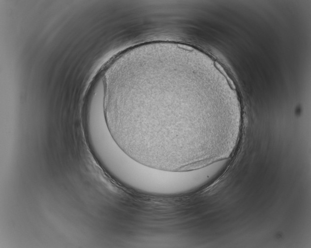 X0000115281035200912111222