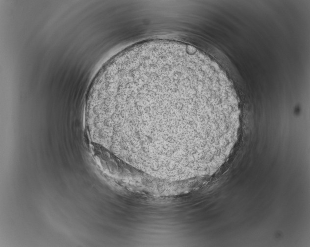 X0000115281036200912111222