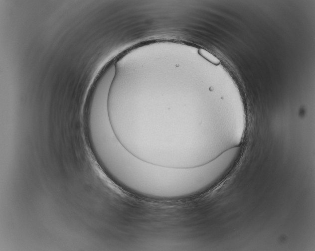 X0000115281037200912111222