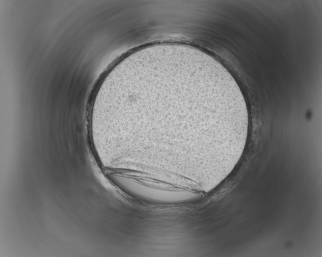 X0000115281038200912111222