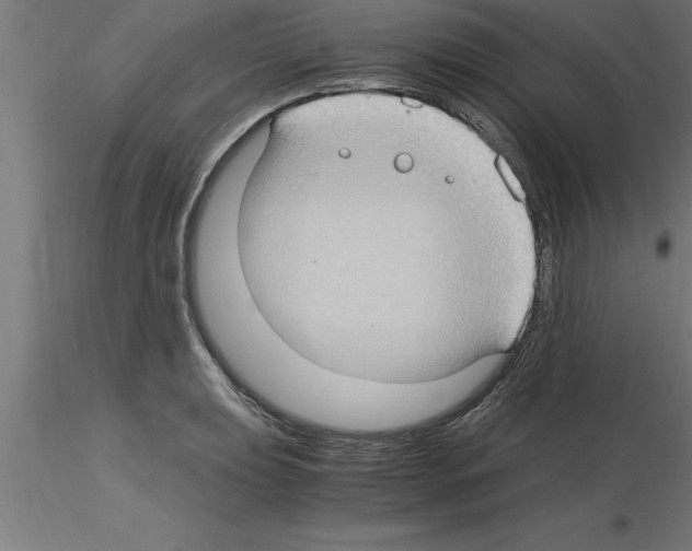 X0000115281039200912111222