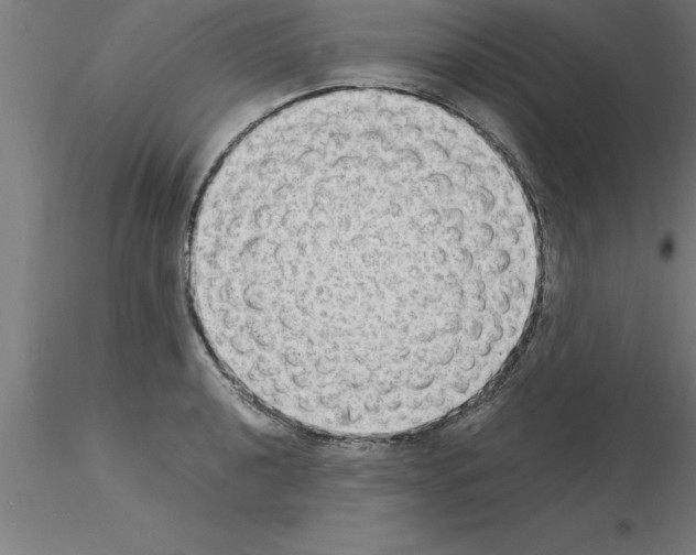 X0000115281040200912111222