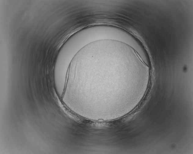 X0000115281041200912111222