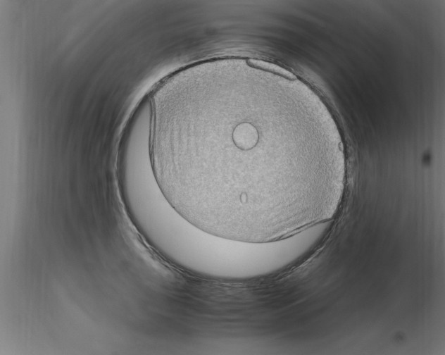 X0000115281043200912111222