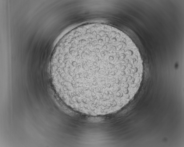 X0000115281044200912111222