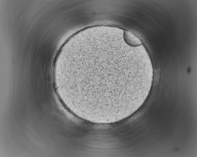 X0000115281046200912111222