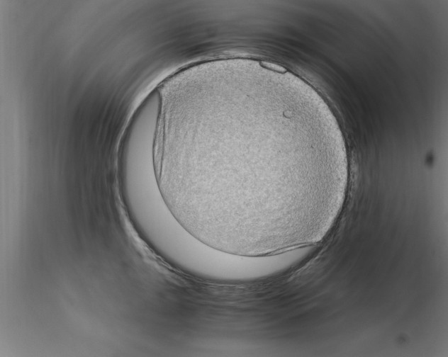 X0000115281047200912111222