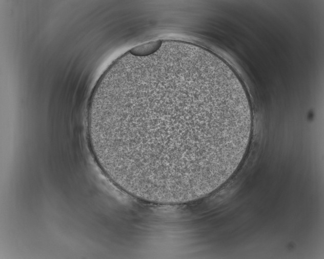 X0000115281048200912111222