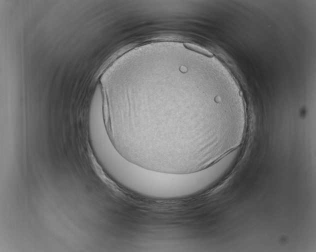 X0000115281049200912111222